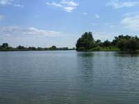 A Tisza