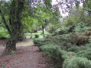 Lábatlani arborétum